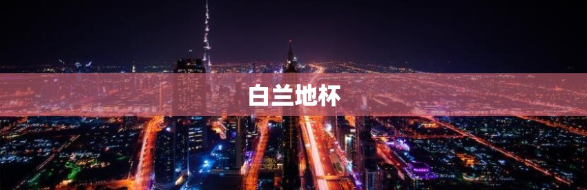 白兰地杯