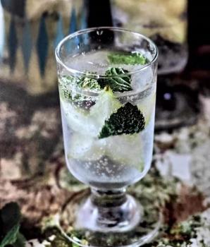 杨桃龙舌兰菲兹