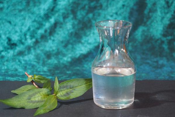 越南薄荷椰子糖浆 第1张