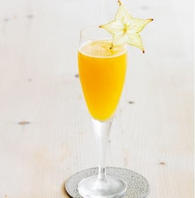 含羞草Mimosa
