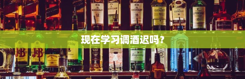 现在学习调酒迟吗？