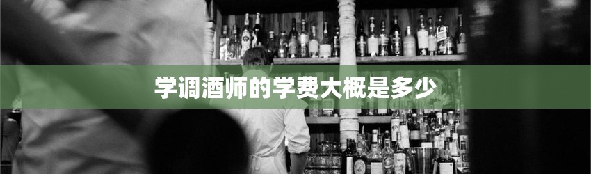 学调酒师的学费大概是多少