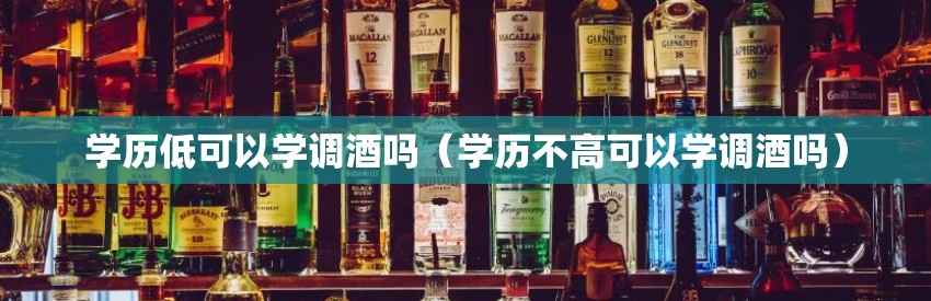 学历低可以学调酒吗（学历不高可以学调酒吗）